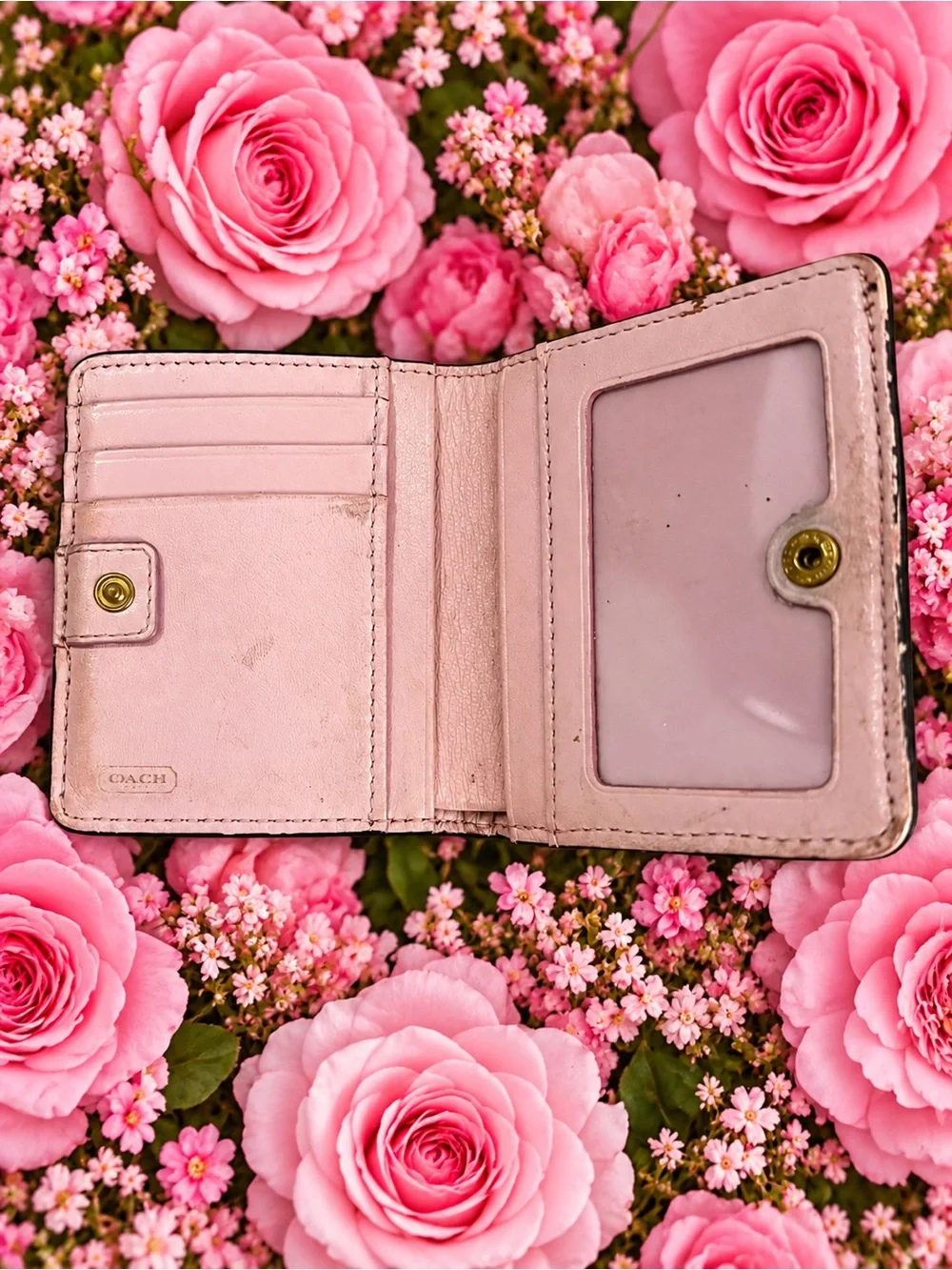 Coach Brown Signature C Pleated Compact Wallet
